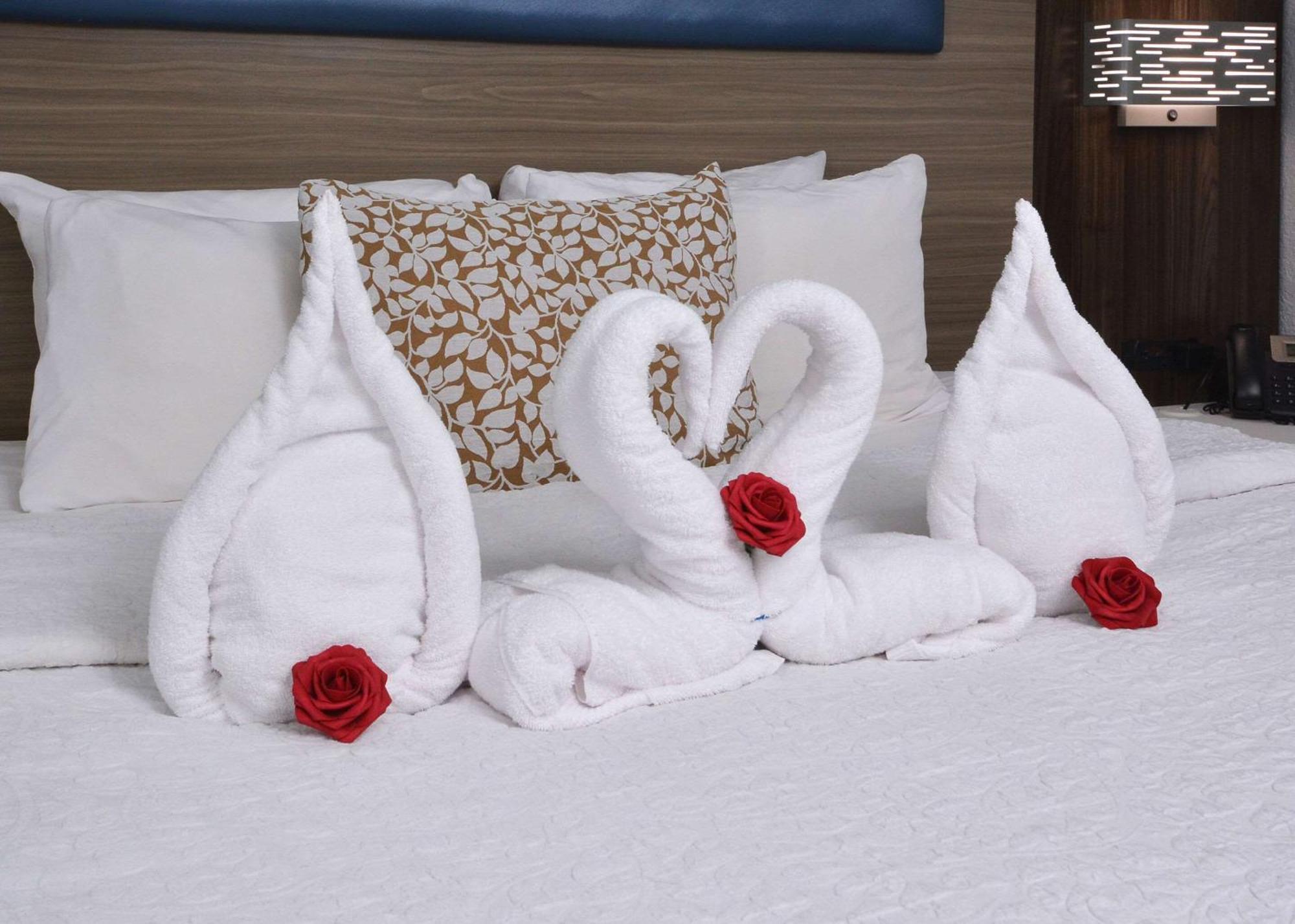 Brookstone Near Biltmore Village, Ascend Collection 3* Asheville