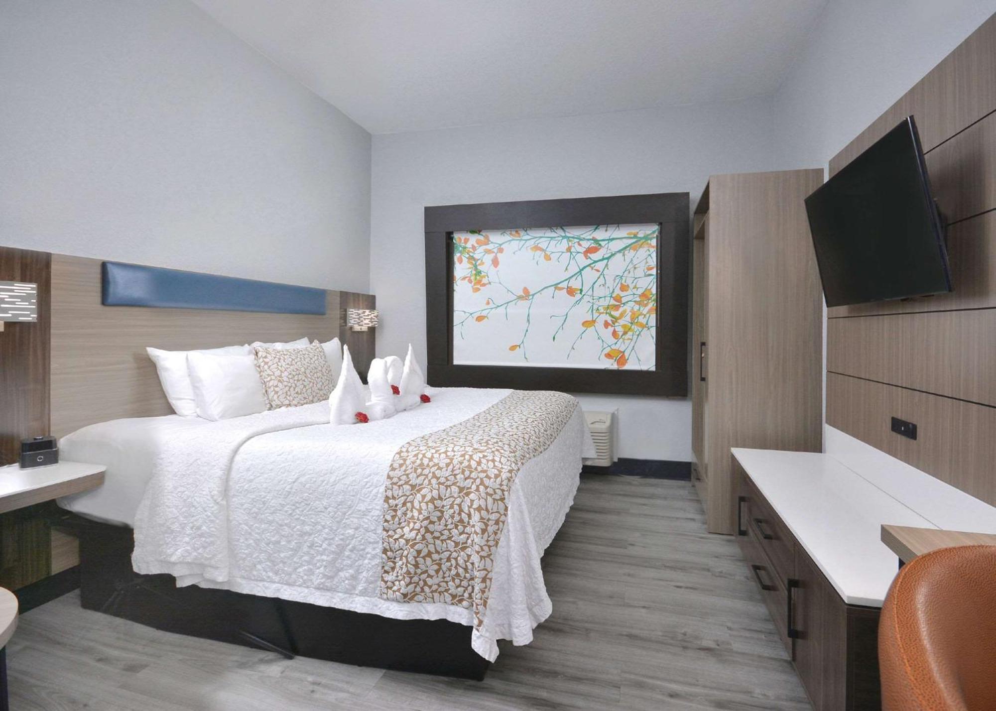 Brookstone Near Biltmore Village, Ascend Collection 3* Asheville